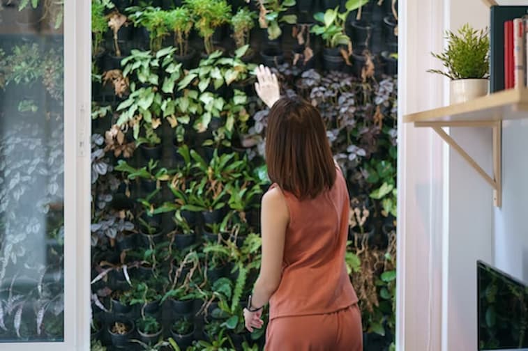 14 Desain Kamar Tidur Menghadap Taman agar Kamar Sejuk